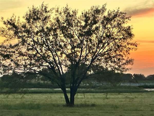 10.7 Acres of Land for Sale in China Spring, Texas