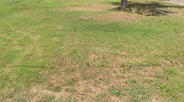 0.15 Acres of Residential Land for Sale in Waco, Texas