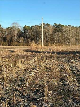 10.2 Acres of Land for Sale in Lumber Bridge, North Carolina