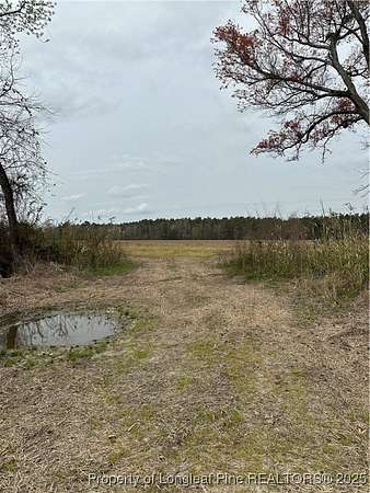 10.2 Acres of Land for Sale in Lumber Bridge, North Carolina