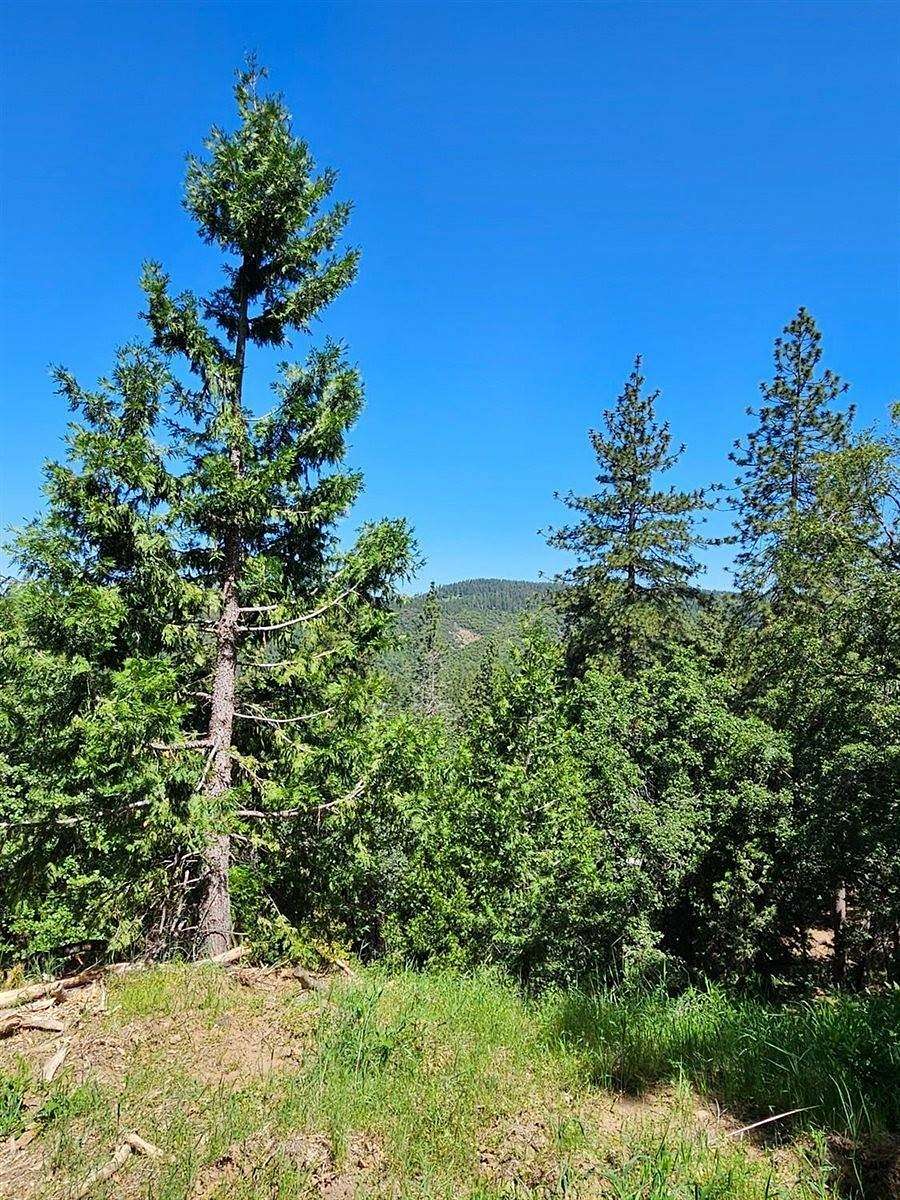 4 Acres of Residential Land for Sale in Murphys, California