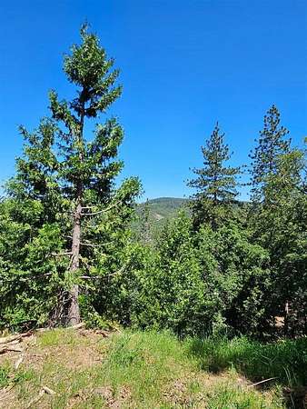 4 Acres of Residential Land for Sale in Murphys, California