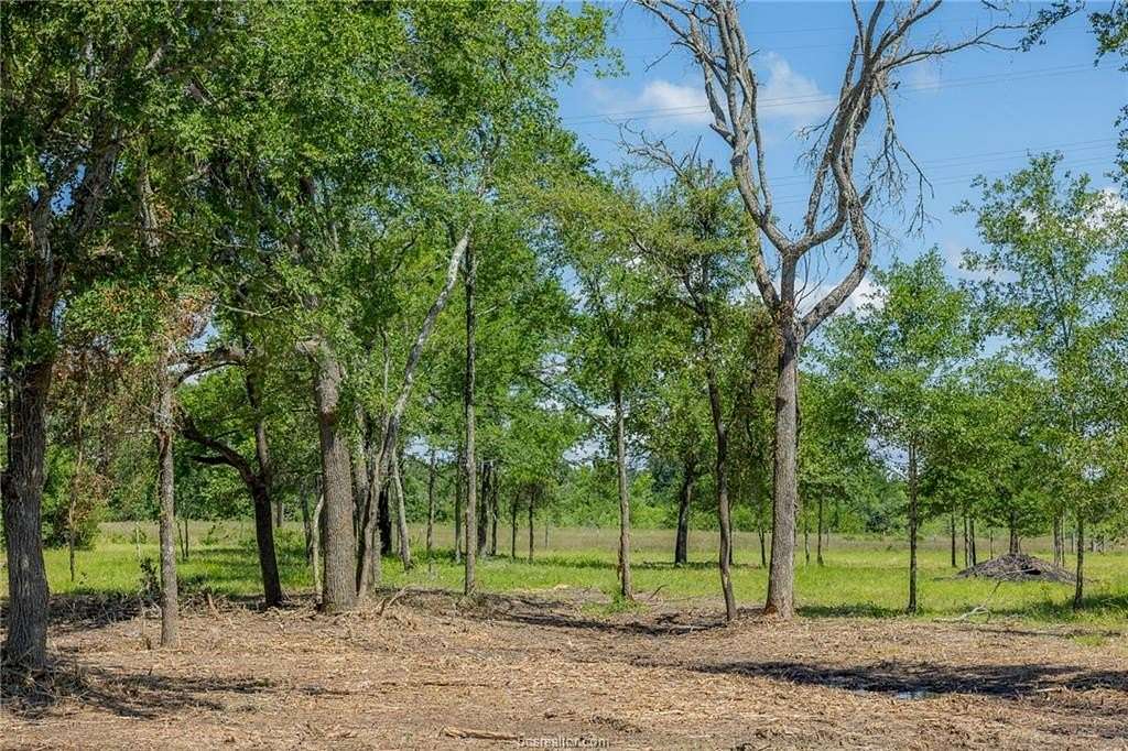 1 Acre of Land for Sale in Bedias, Texas