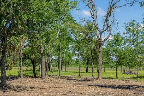 1 Acre of Residential Land for Sale in Bedias, Texas