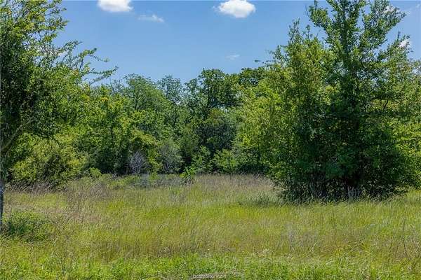 1 Acre of Land for Sale in Anderson, Texas