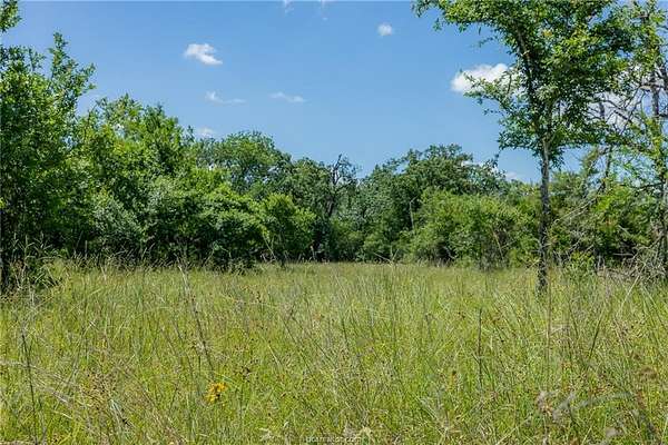 1 Acre of Land for Sale in Bedias, Texas