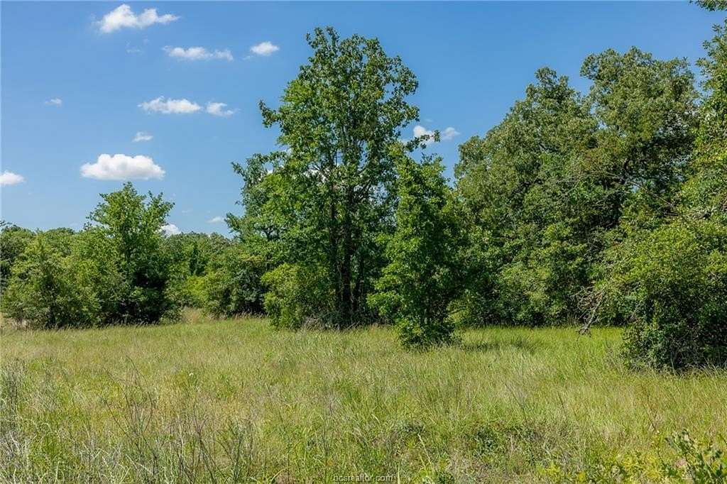 1 Acre of Land for Sale in Bedias, Texas