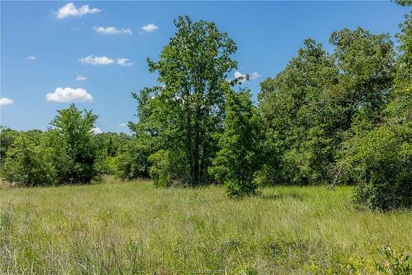 1 Acre of Land for Sale in Bedias, Texas