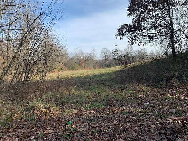 99 Acres of Recreational Land for Sale in Piggott, Arkansas