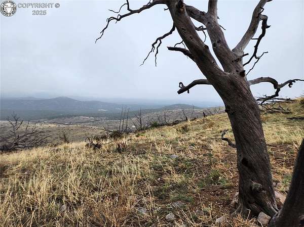 2.55 Acres of Land for Sale in Cotopaxi, Colorado