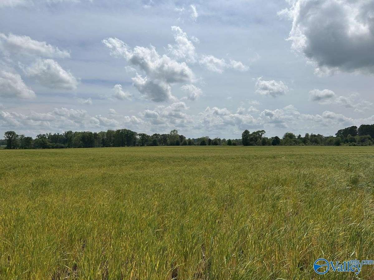 28 Acres of Agricultural Land for Sale in Lexington, Alabama