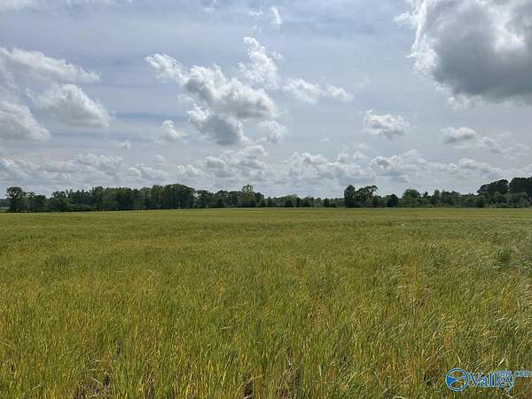28 Acres of Agricultural Land for Sale in Lexington, Alabama