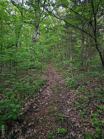 5 Acres of Residential Land for Sale in Blackwell, Missouri