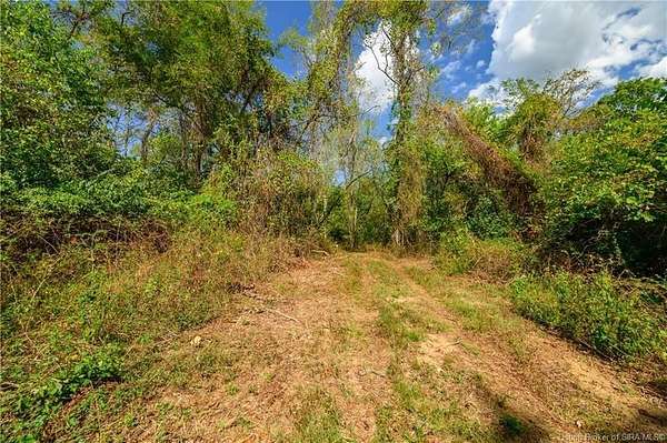 30.3 Acres of Land for Sale in Patriot, Indiana