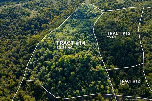 30.3 Acres of Land for Sale in Patriot, Indiana