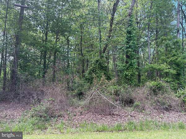 0.34 Acres of Residential Land for Sale in Chestertown, Maryland