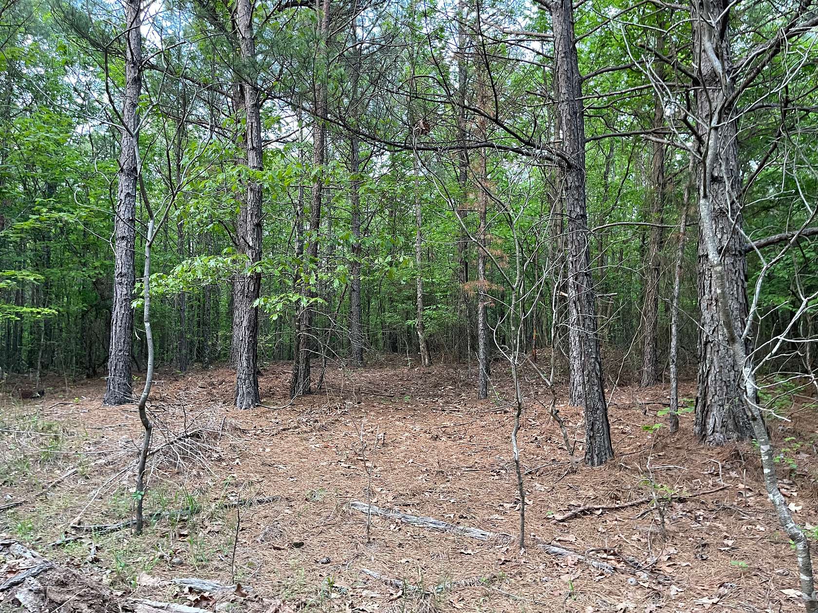 40 Acres of Recreational Land & Farm for Sale in Broken Bow, Oklahoma