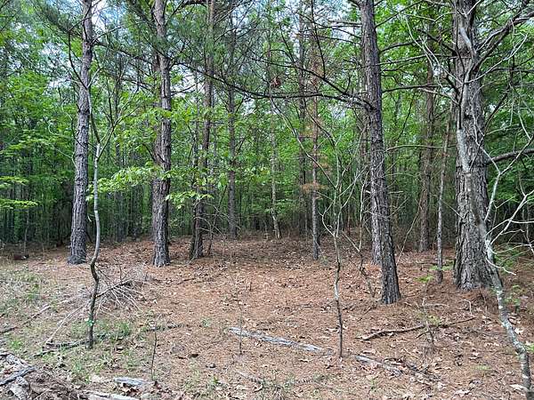 40 Acres of Recreational Land & Farm for Sale in Broken Bow, Oklahoma