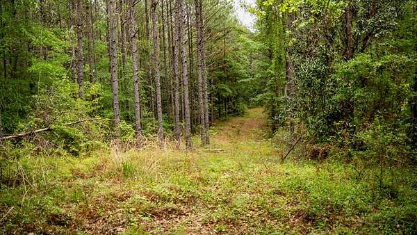 37 Acres of Land for Sale in Crosby, Mississippi