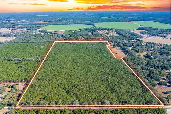77.2 Acres of Land for Sale in Live Oak, Florida