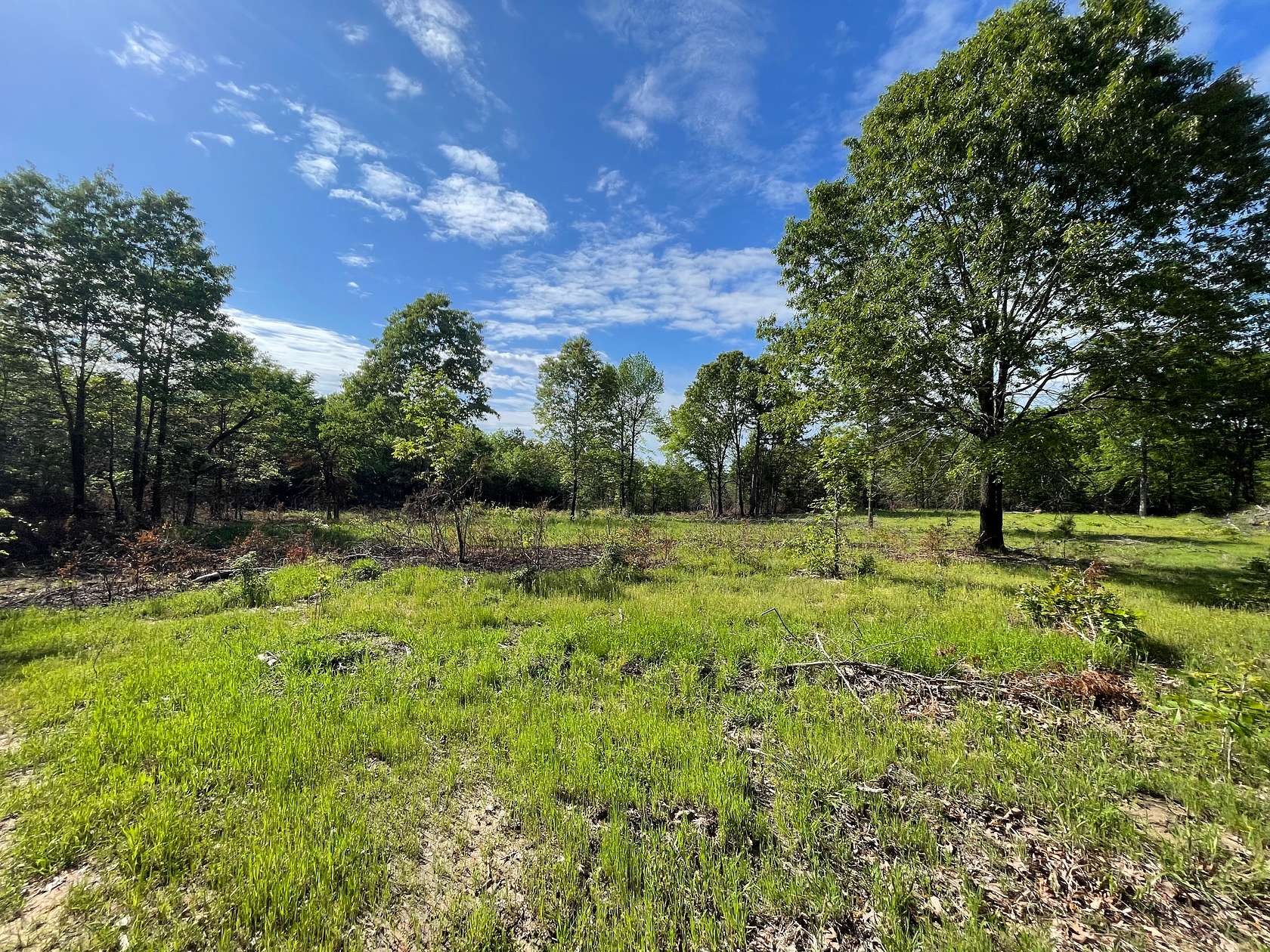 120 Acres of Recreational Land & Farm for Sale in Nelson, Oklahoma