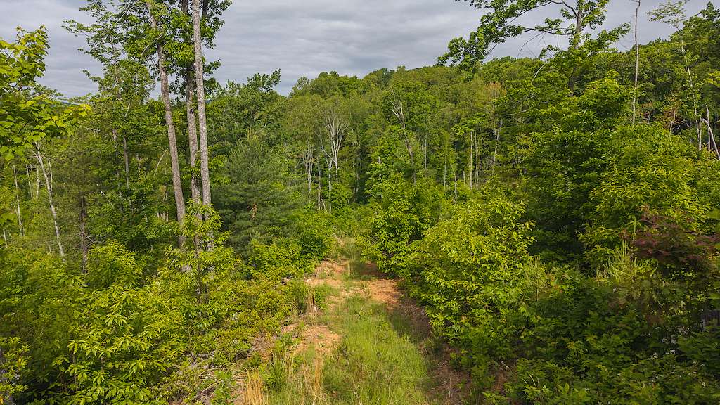 55.5 Acres of Land for Sale in Woolwine, Virginia