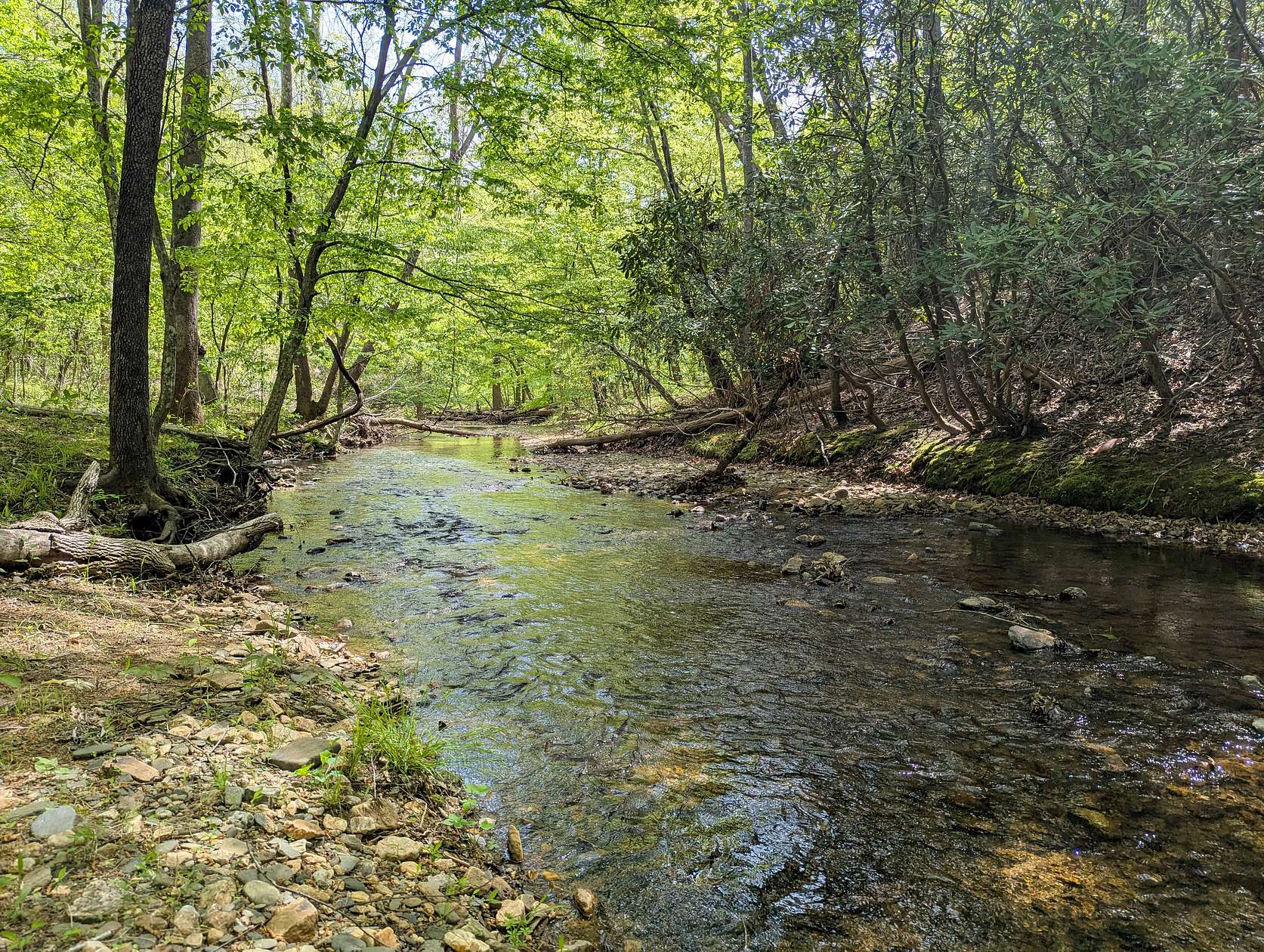 221 Acres of Recreational Land & Farm for Sale in Woolwine, Virginia