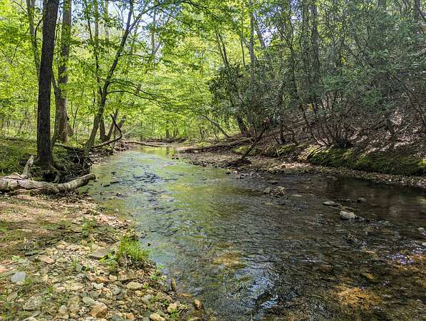 221 Acres of Recreational Land & Farm for Sale in Woolwine, Virginia