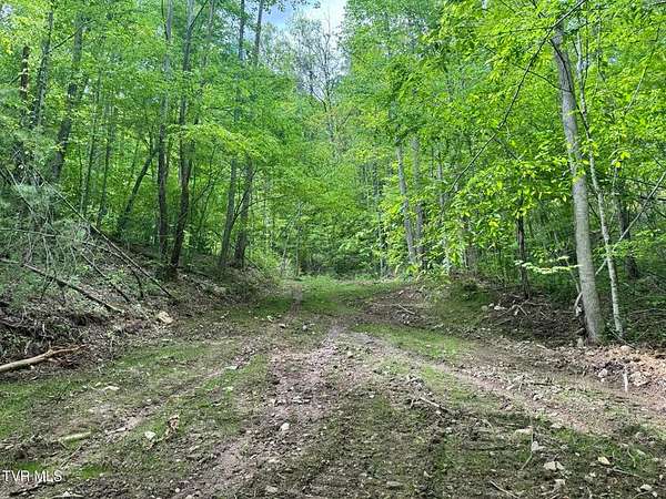 33.5 Acres of Recreational Land & Farm for Sale in Flag Pond, Tennessee