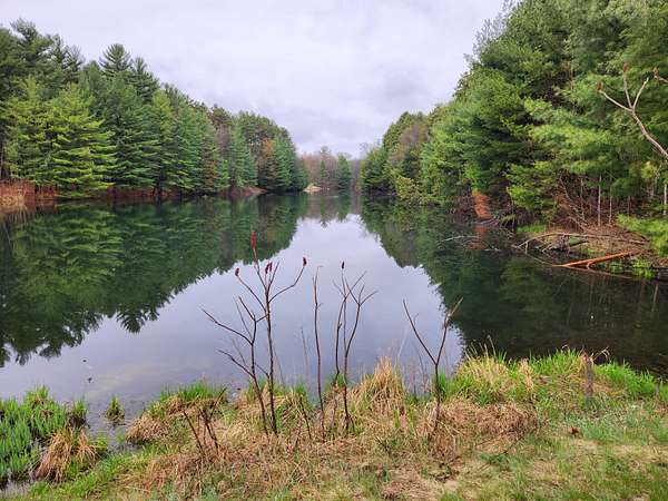 9 Acres of Land for Sale in Wisconsin Dells, Wisconsin