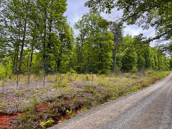 19.4 Acres of Land for Auction in Woolwine, Virginia