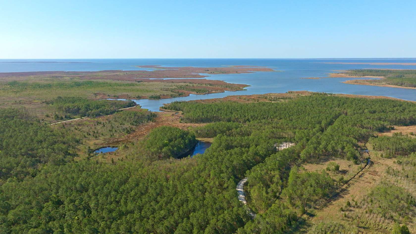 200 Acres of Land with Home for Sale in Scranton, North Carolina