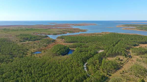200 Acres of Land with Home for Sale in Scranton, North Carolina