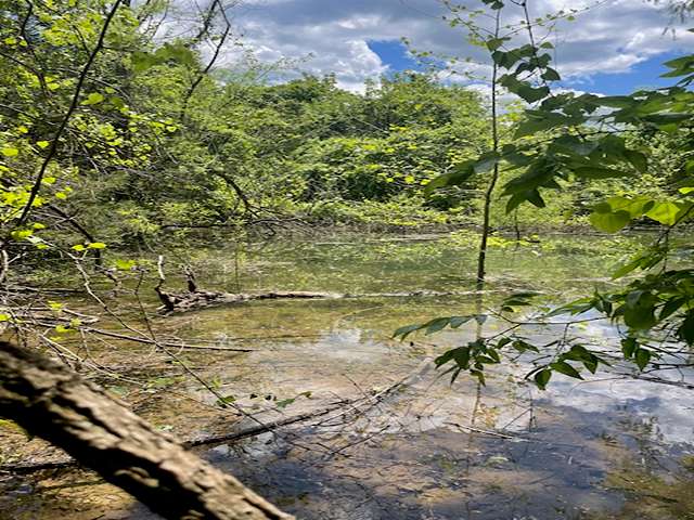 2.5 Acres of Residential Land for Sale in Peel, Arkansas