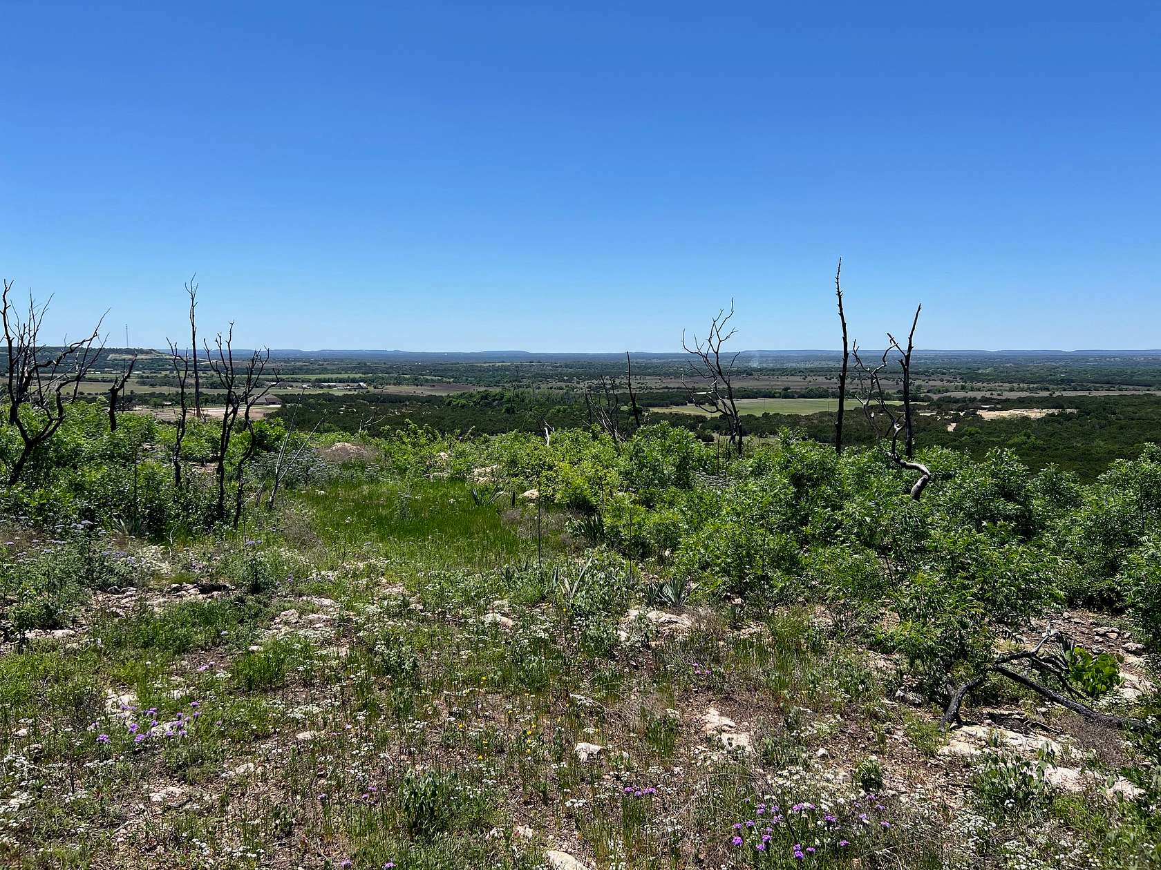 25.5 Acres of Land for Sale in Gatesville, Texas