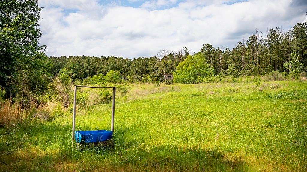 45 Acres of Recreational Land & Farm for Sale in Crosby, Mississippi