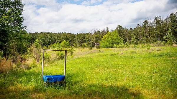 45 Acres of Recreational Land & Farm for Sale in Crosby, Mississippi