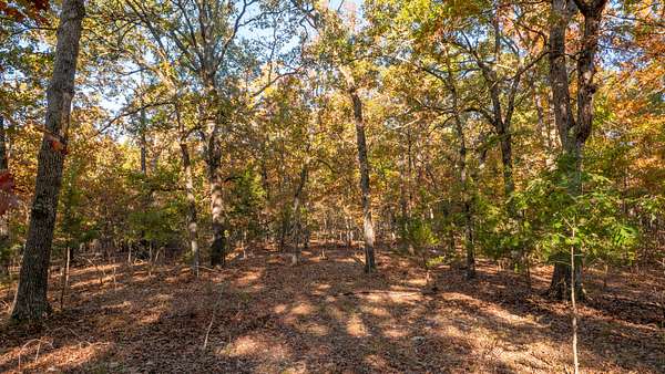 1.18 Acres of Residential Land for Sale in Protem, Missouri