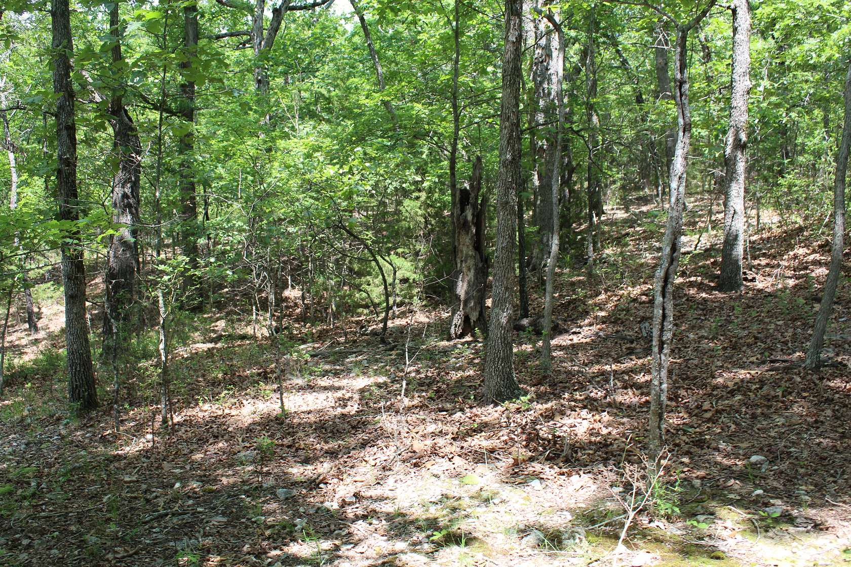 1 Acre of Residential Land for Sale in Protem, Missouri