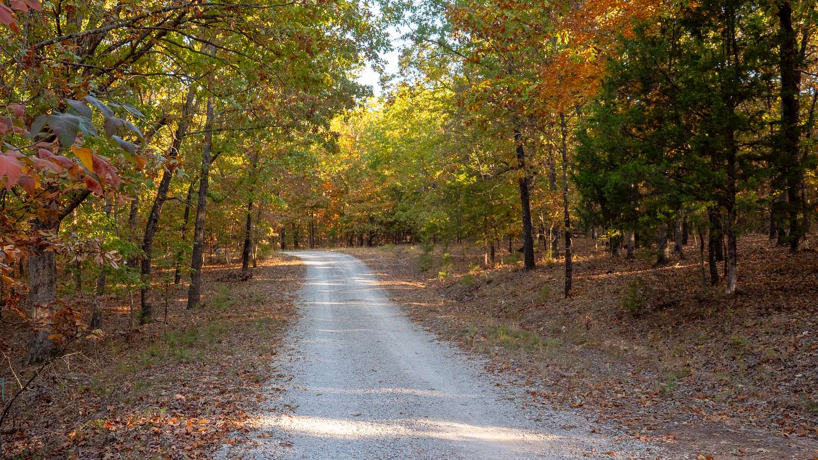 1.68 Acres of Residential Land for Sale in Protem, Missouri