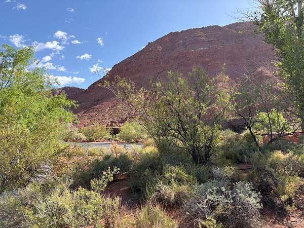 0.5 Acres of Land for Sale in Ivins, Utah