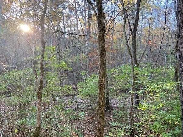 32.5 Acres of Recreational Land for Sale in Foster, Kentucky