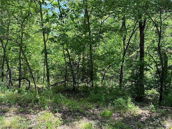 1 Acre of Land for Sale in Bella Vista, Arkansas