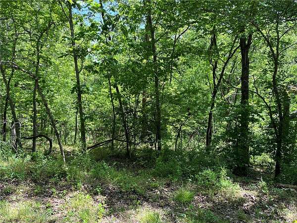 1 Acre of Land for Sale in Bella Vista, Arkansas