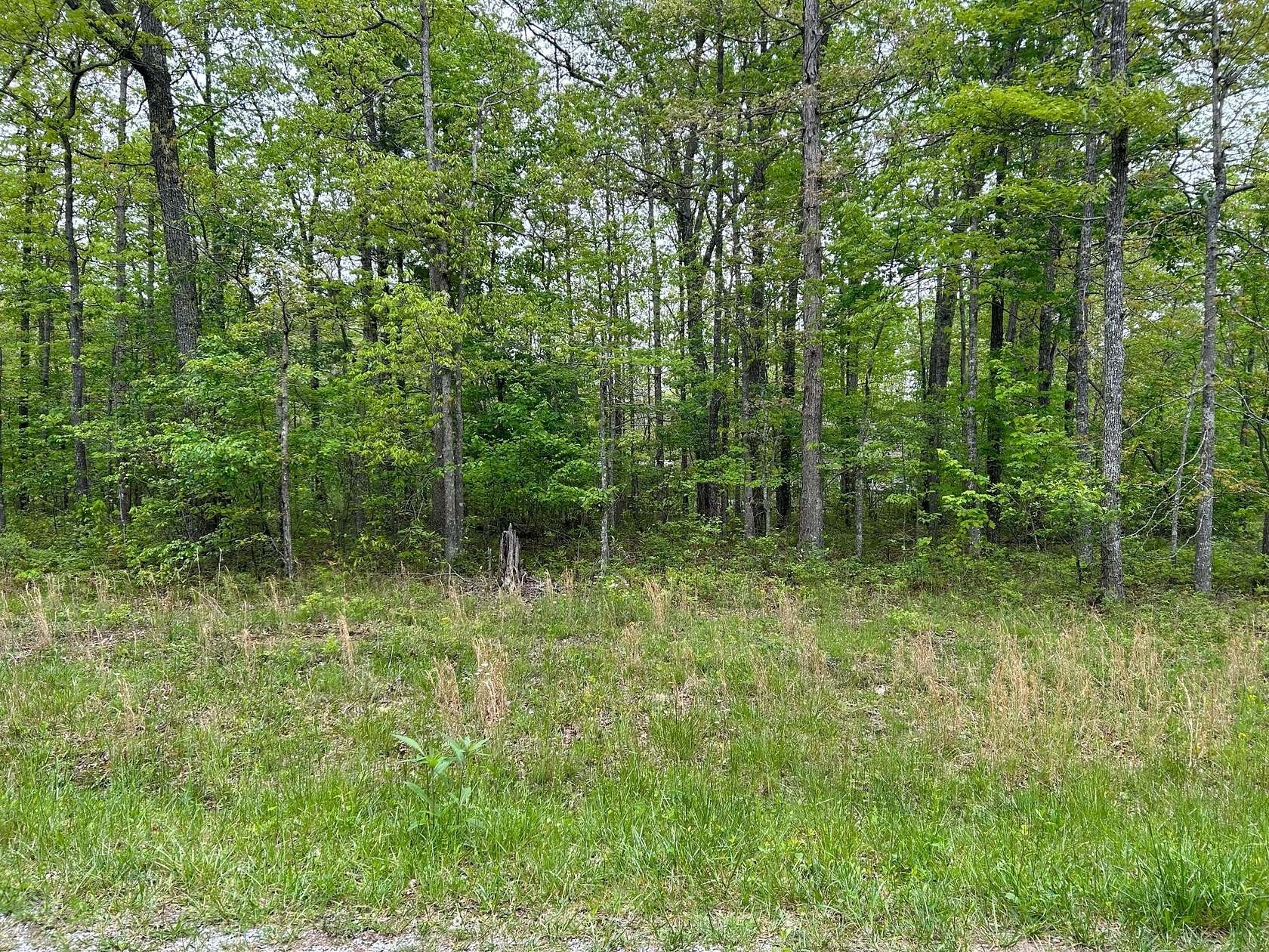 0.25 Acres of Residential Land for Sale in Crossville, Tennessee