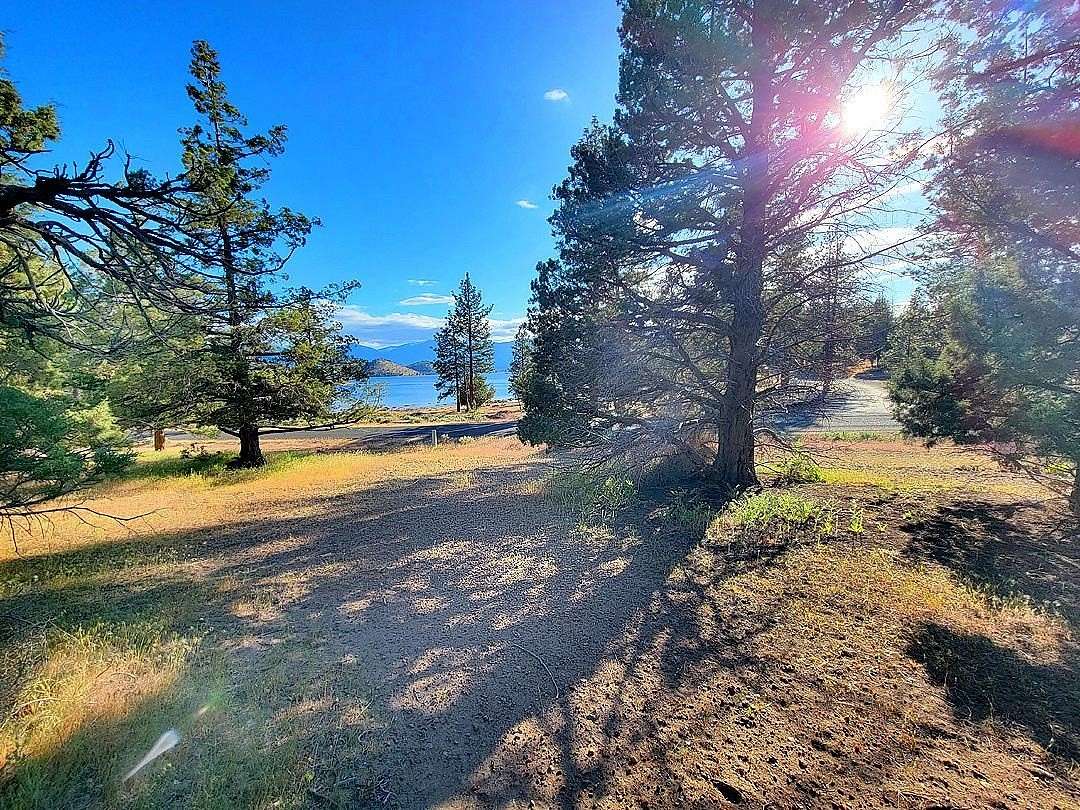 0.23 Acres of Residential Land for Sale in Weed, California