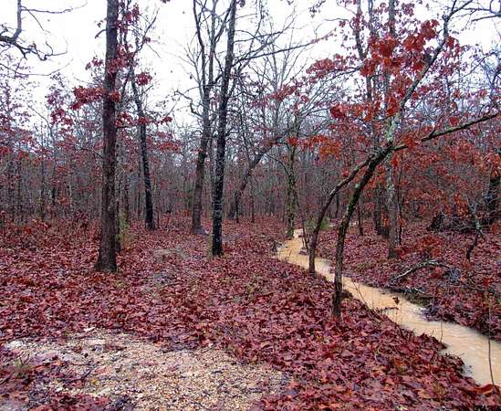 30 Acres of Recreational Land for Sale in Blossom, Texas