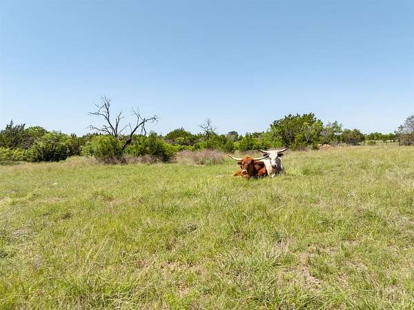 12 Acres of Land for Sale in Hamilton, Texas