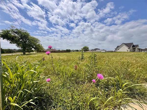 0.4 Acres of Residential Land for Sale in West, Texas