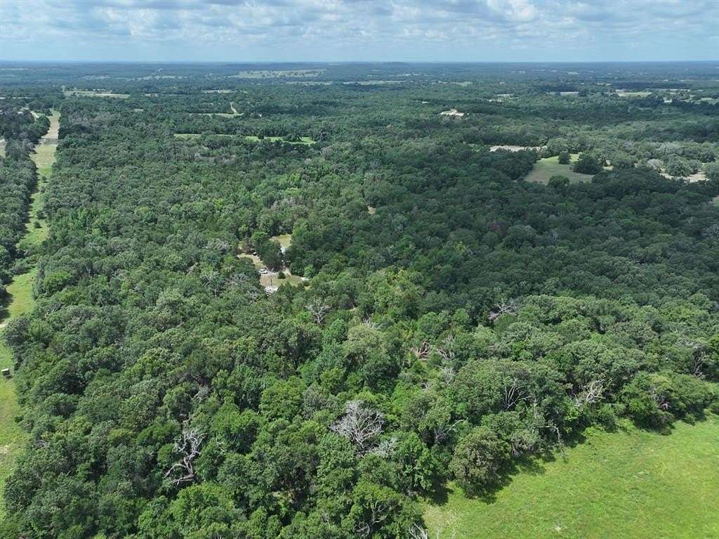33.8 Acres of Recreational Land for Sale in Fairfield, Texas